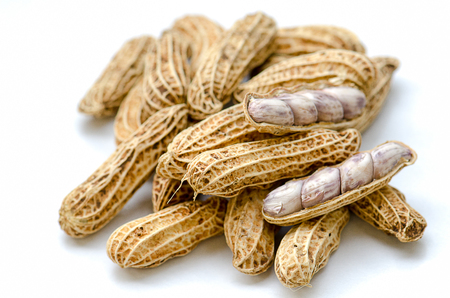 Boiled Peanuts