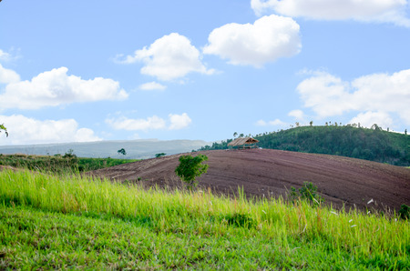 Mountain farm tractors for planting crops. And partially covered with grass. The cottage has a...