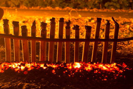 GLUTINOUS RICE ROASTED IN BAMBOO JOINTS aroma and warmth of a fire in winter. Thailand delicious local seasonal food.の写真素材