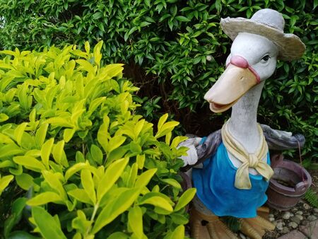 The duck gardenの写真素材