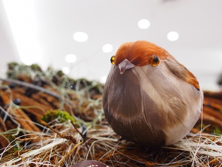 The artificial feather bird nestsの写真素材