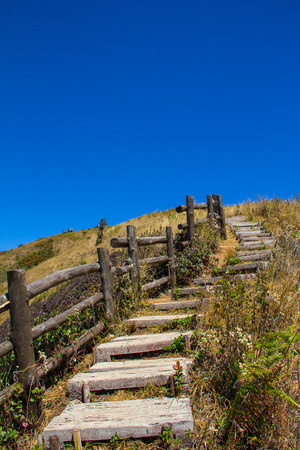 The long wood way on Hill at Thailand.の写真素材