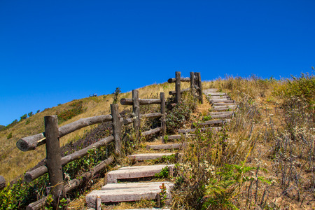 The long wood way in the mountain at  Gilmaeparn Natural Education Park, Thailand.の写真素材