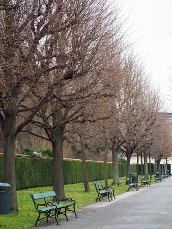Trees in the winter seasons are peaceful at Belvedere palace, Austria.のeditorial素材