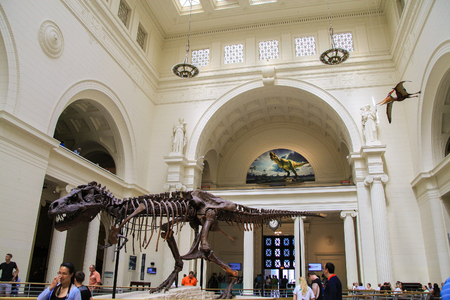 Chicago, USA - September 08 2013: The Field Museum is located on Lake Shore Drive next to Lake Michigan, part of a scenic complex the Museum Campus,in Chicago, Illinois, USAのeditorial素材
