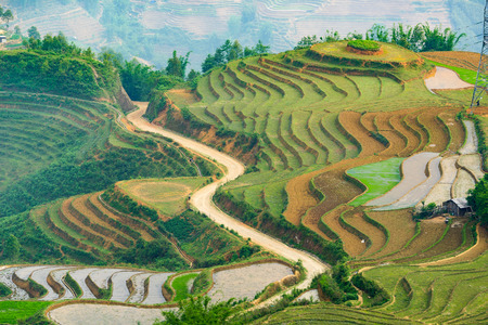 Beautiful terraced rice field in water pulling season Lao cai province in Vietnamの写真素材