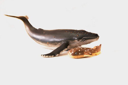 whale familyの写真素材