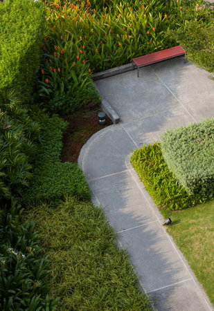 Top view of sky gardenの写真素材