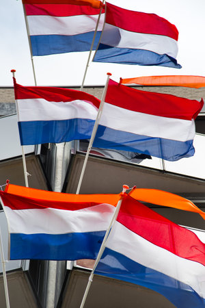Multiple Dutch flags with orange pennant in the windの写真素材