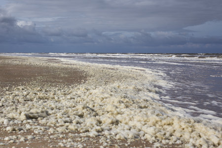 Dutch beach with sea foam on the North Sea coast under heavy clouds near Noordwijk aan Zeeの写真素材