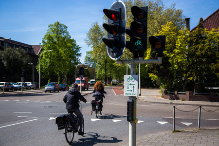 Traffic light on the street in Amsterdamの写真素材