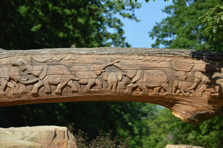 woodcuttingの写真素材