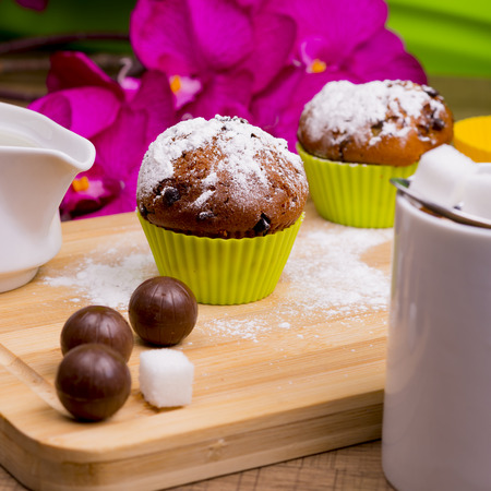 Bright Cupcake with icing sugar and chocolate on a colored background.の写真素材