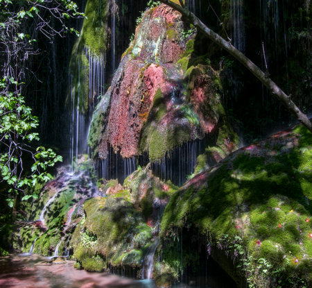 Waterfall in the forest with green moss and rocks covered with lichenの写真素材