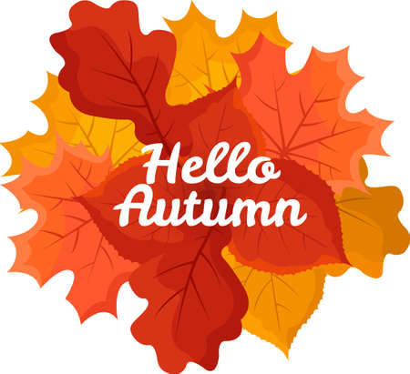 Hello autumn illustration with colourful leaves. Flat style. Vector illustrationのイラスト素材