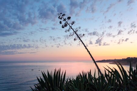 Sunset at Santa Eulalia beach in Albufeira region of the Algarve, Portugalの写真素材