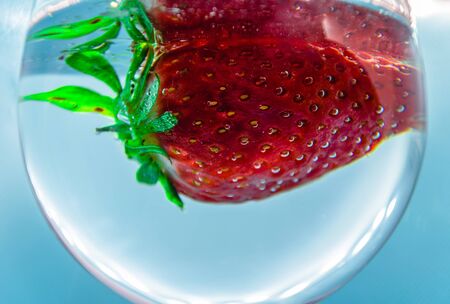 Glass of wine with strawberry floating on blue backgroundの写真素材