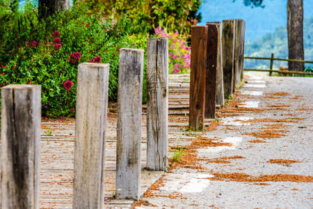 Wooden path with vegetation to the side, on the hill of Tossa de Montbui, La Anoia, Barcelona