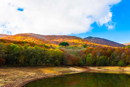 Colorful trees and leaves in autumn in the Montseny Natural Park in Barcelona, Spainの写真素材