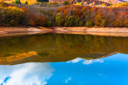 Colorful trees and leaves in autumn in the Montseny Natural Park in Barcelona, Spainの写真素材