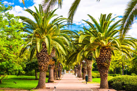 Views of the interior of the Paloma de Benalmadena Park, Malagaの写真素材