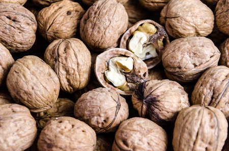 Group of fresh and natural nutsの写真素材