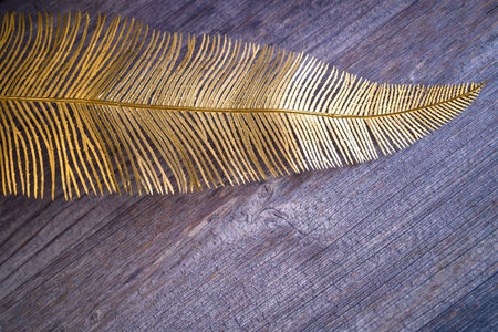 Palm leaf painted in gold color. Decoration on the table. copy spaceの写真素材