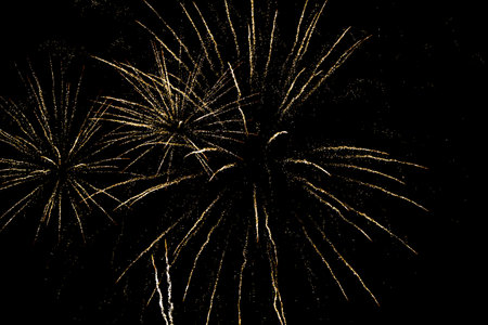 Fireworks lighting up the night sky. Pyrotechnics, abstractの写真素材