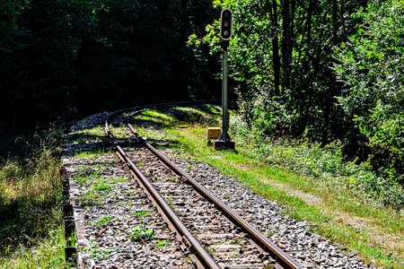 Empty railway track through forest nature. Metal railsの写真素材