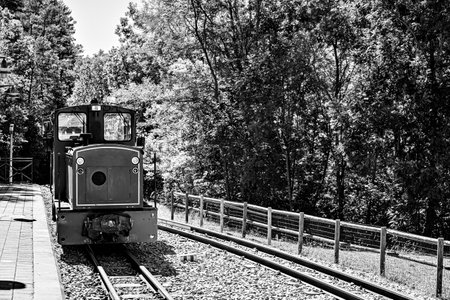 Old railway on the tracks between the trees of the nature of Pobla de Lillet in BergadÃ¡,...