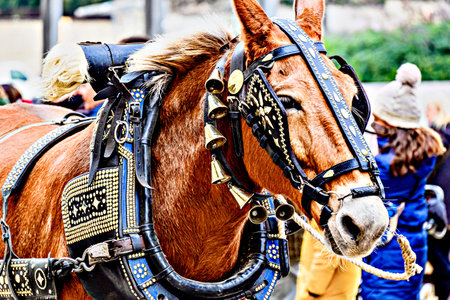 Horse parade at the Festival of the Three Sepulchres in Igualada, Barcelona, ââââfestival of Saint Anthony the Abbotの写真素材