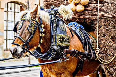 Horse parade at the Festival of the Three Sepulchres in Igualada, Barcelonaの写真素材