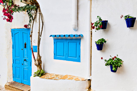 Typical white house with blue door in the beautiful city of Mojacar, AlmerÃ­a, Andalusiaの写真素材