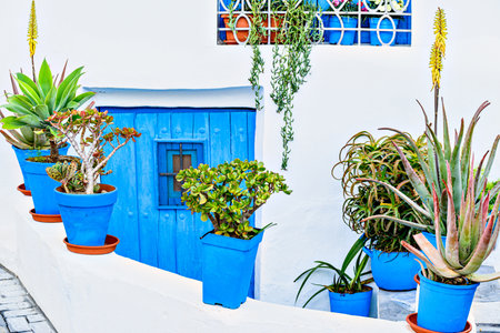 Typical white houses with blue windows and doors in the beautiful town of Nijar, Almeria, Andalusiaの写真素材