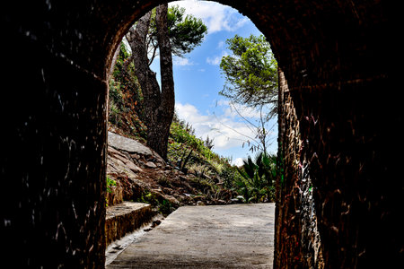 View from inside a tunnel to a green landscape with trees and blue sky. Passage to a beachの写真素材