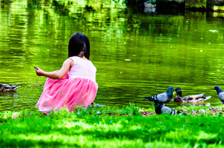 Little girl in pink dress playing in the lake with pigeons in summerの写真素材