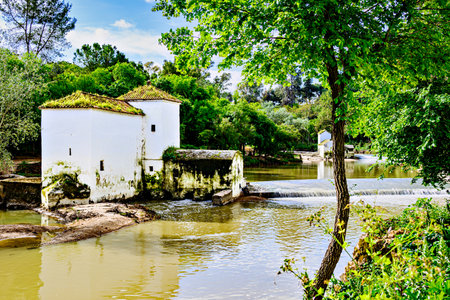 San Juan flour mill, next to the banks of the Guadaira River, within Oromana Park in AlcalÃ¡ de Guadaira, Sevilleの写真素材