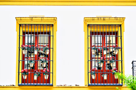 Typical white facades with flowers on the yellow-bordered balconies on the streets of Seville,...