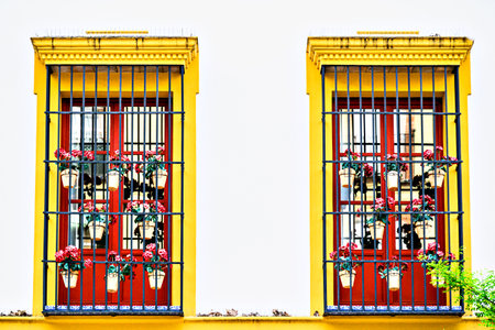 Typical white facades with flowers on the yellow-bordered balconies on the streets of Seville,...