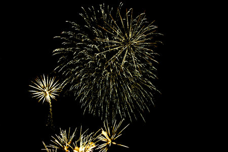 Fireworks lighting up the night sky. Pyrotechnics, abstract