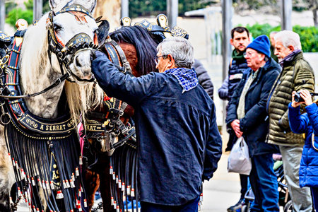 Igualada, Barcelona, ââSpain; January 19, 2025: Festival of the Three Tombs of Igualada. Walks through the city streets commemorating the 203rd anniversary of the ancient Guild ofのeditorial素材
