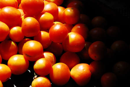 tomatoesの写真素材