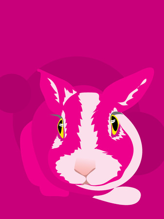 Funny curious chicken-hearted rabbitのイラスト素材