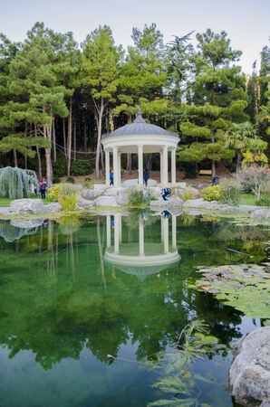 Crimea lake nature water arborのeditorial素材
