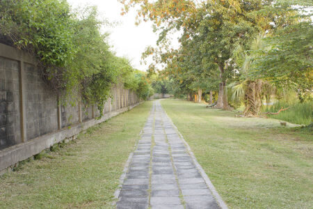 The running and Jogging way.の写真素材