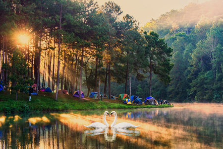 Morning at Pang Ung lake, Pang Ung Mae Hong Son province, North of thailandのeditorial素材