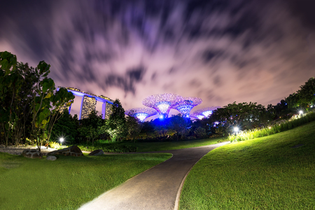 travel,Supertree garden at night, Garden by the Bay, Singapore,SINGAPORE-JULY 29 2017: Night view of The Super tree Grove at Gardens by the Bay,travelのeditorial素材