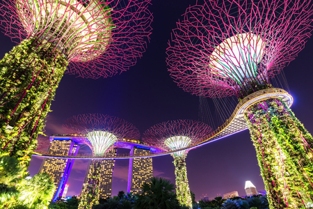 Supertree Grove forest illuminated at night. Gardens by the Bay, Singapore cityのeditorial素材