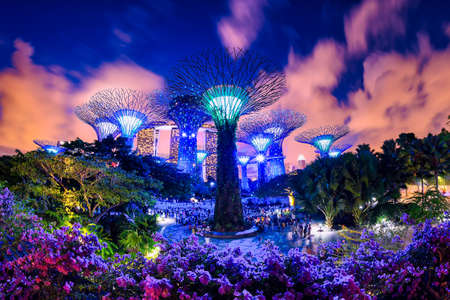 Singapore - JULY 29 2017: Fantastic night bottom view of the Supertrees and the Skyway at Gardens by the Bay. Giant tree-like structures and vertical gardens are popular tourist attraction.のeditorial素材