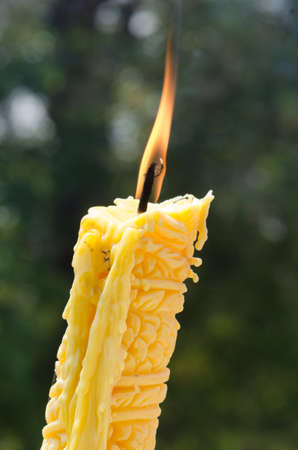 Candle with fire on green の写真素材